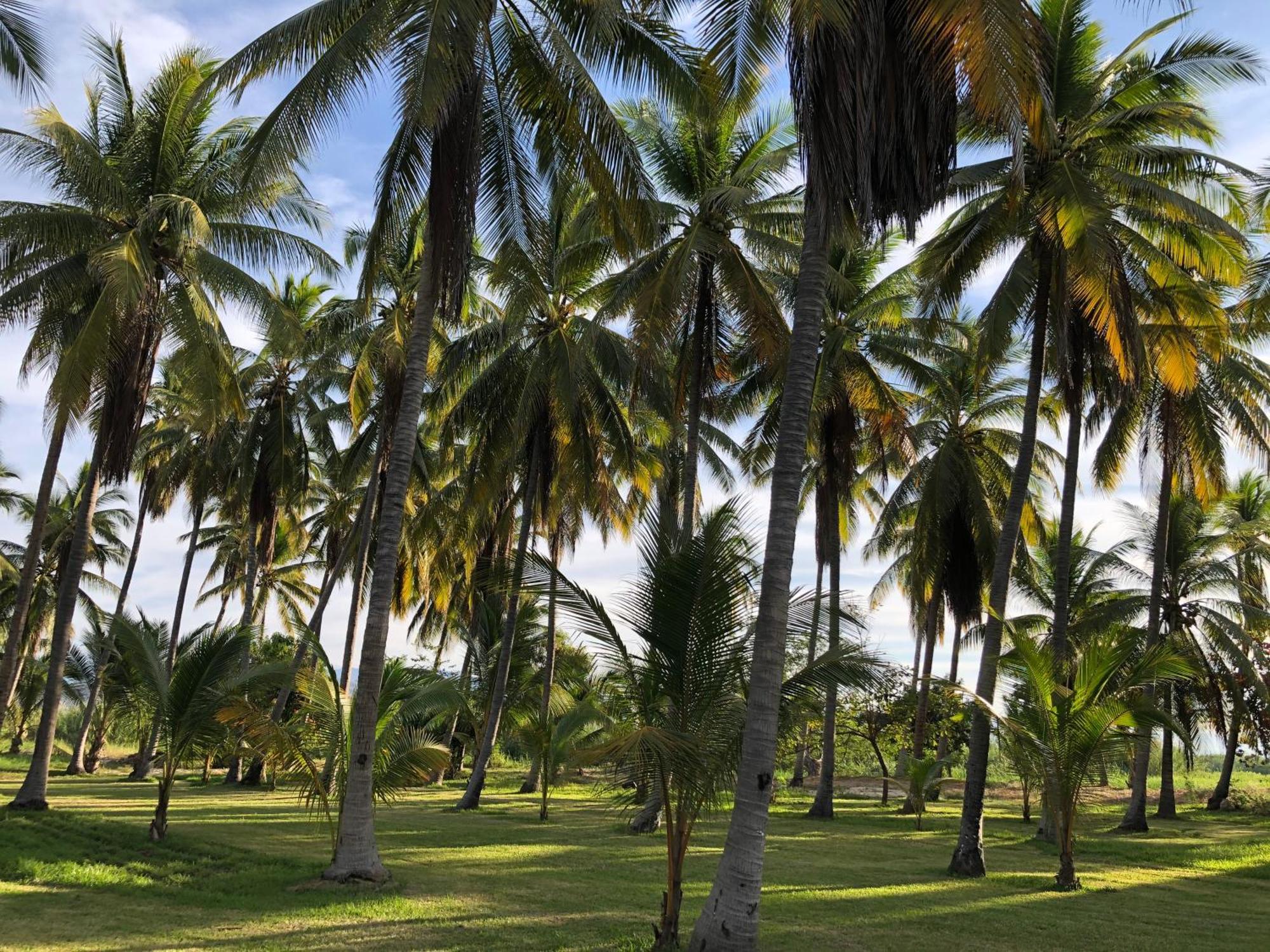 Casa Kundavi Beach Front Paradise Recado Eksteriør billede