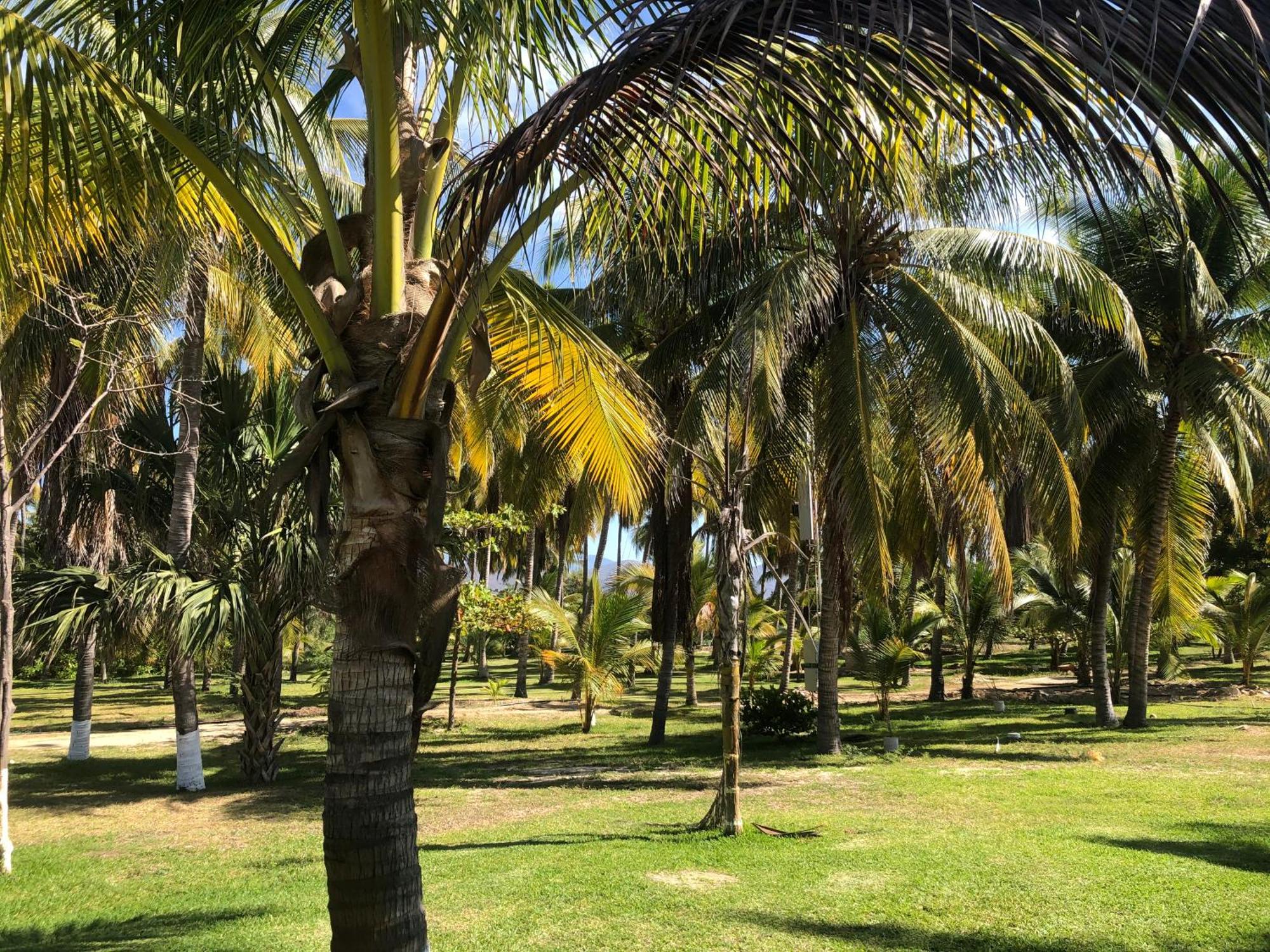 Casa Kundavi Beach Front Paradise Recado Eksteriør billede